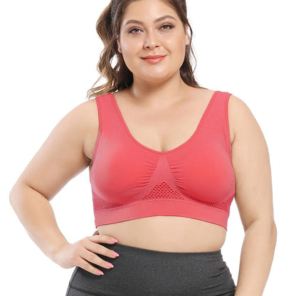 [Gentle Care, Sports Bra] Breathable Plus Size Seamless Sports Bra for Women - Purple, Push-Up with Removable Pads, Comfort Fit Vest Style, Sizes 36XL to 40XL